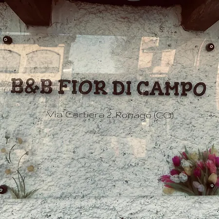 Fior Di Campo * Ronago